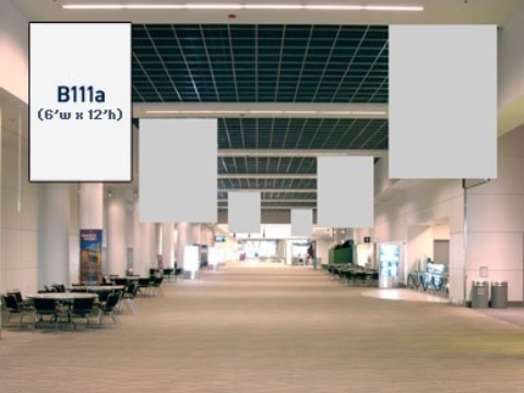 Picture of B111a