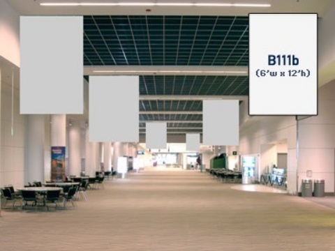 Picture of B111b