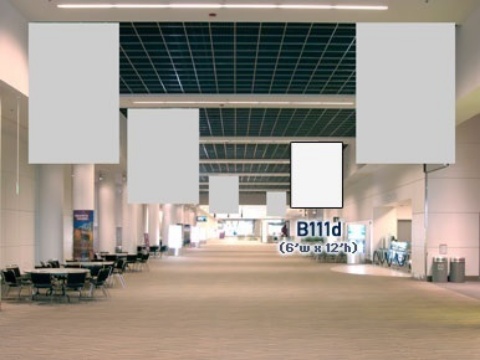Picture of B111d