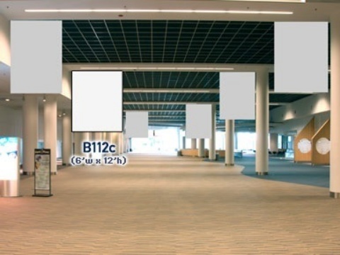 Picture of B112c