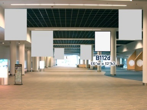 Picture of B112d