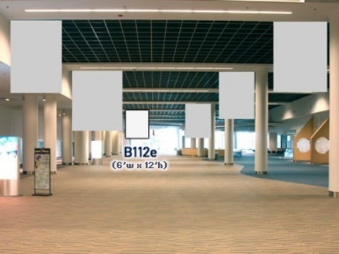 Picture of B112e