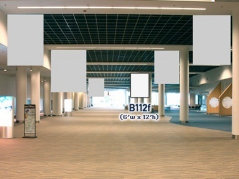 Picture of B112f