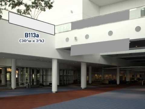 Picture of B113a