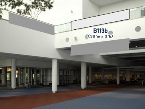Picture of B113b