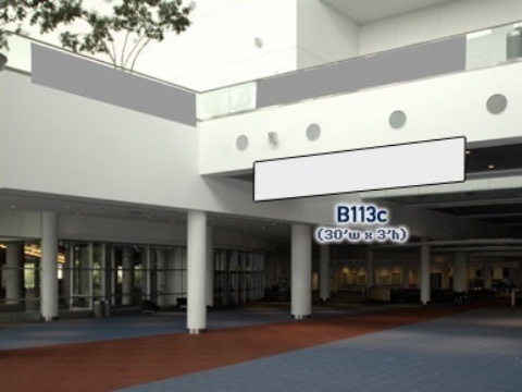 Picture of B113c